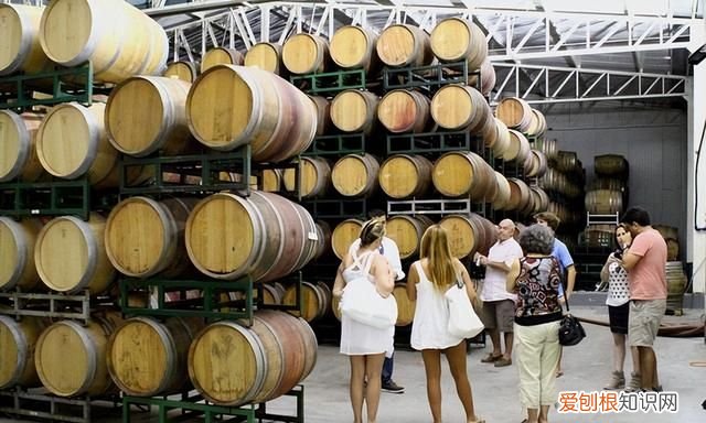 南美智利尊严殖民地