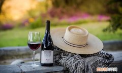 南美智利尊严殖民地