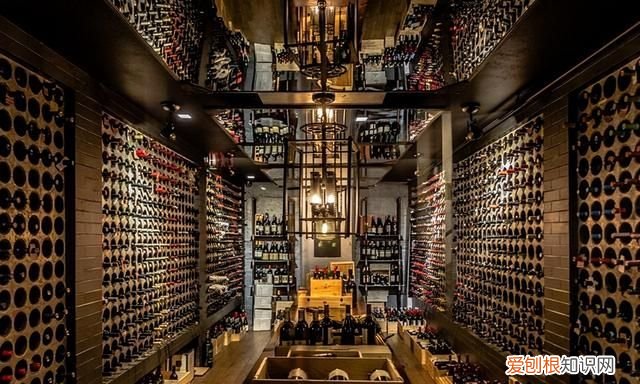 南美智利尊严殖民地