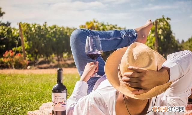 南美智利尊严殖民地