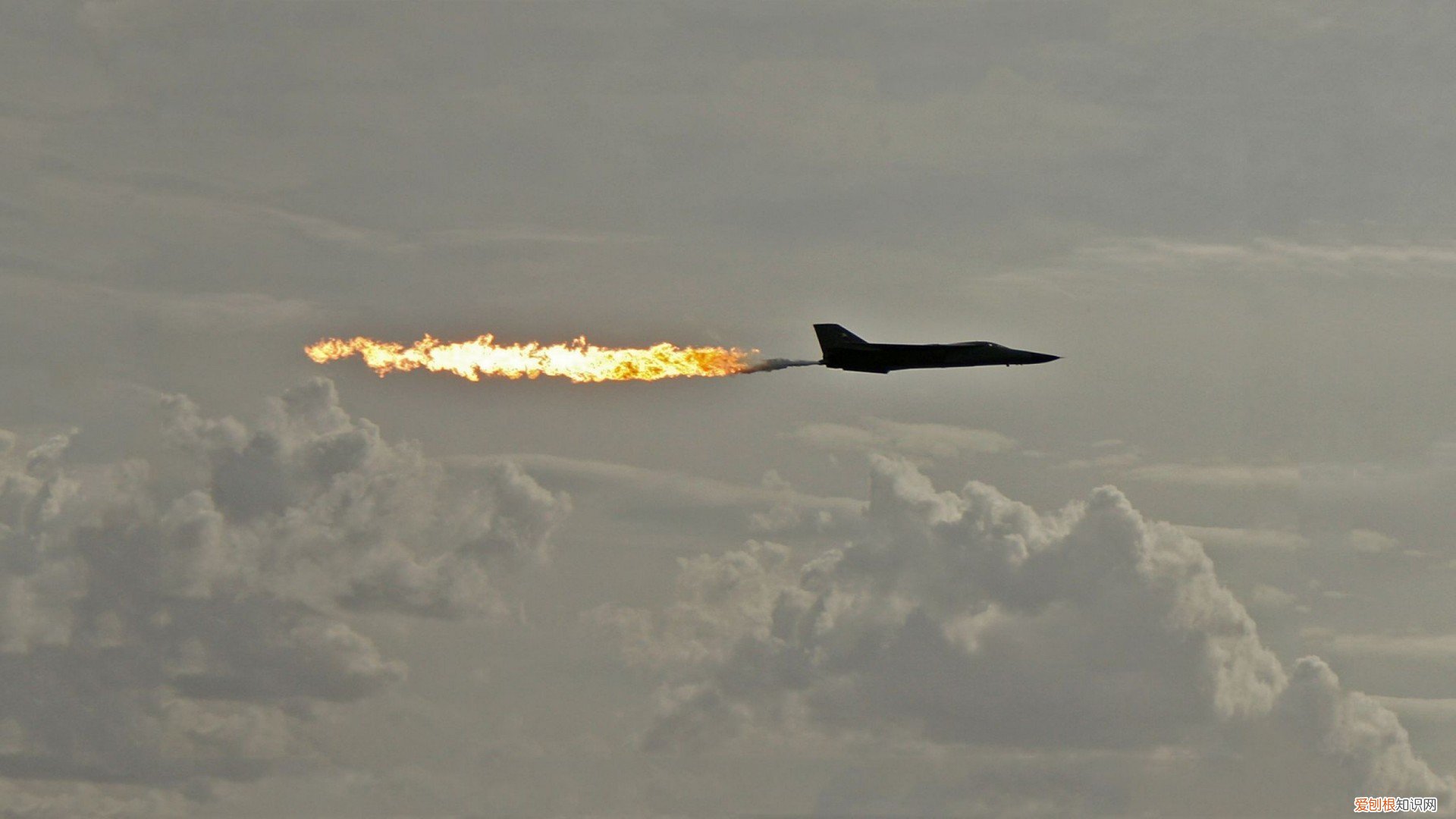 别错过厦门咖啡一条街的SIP 厦门咖啡一条街