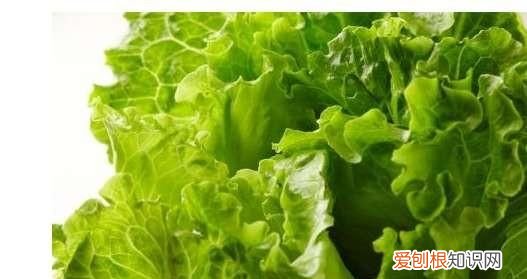 夏天去火吃莴笋有用 夏天去火吃莴笋有没有用