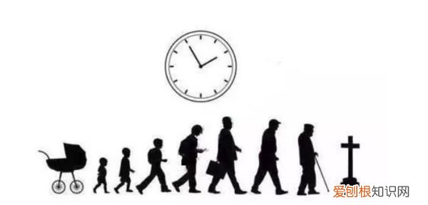 人的成长阶段划分为哪六个阶段