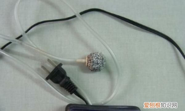 如何去除鱼缸的腥味 如何去除鱼缸腥味