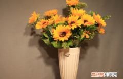 岁月不败美人是赞美，只要什么岁月从不败美人