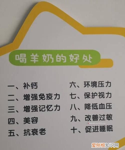 煮熟后过夜的羊奶能喝 煮熟后过夜的羊奶能喝对