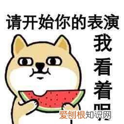 屏幕录制苹果在哪里开 苹果录屏功能在哪