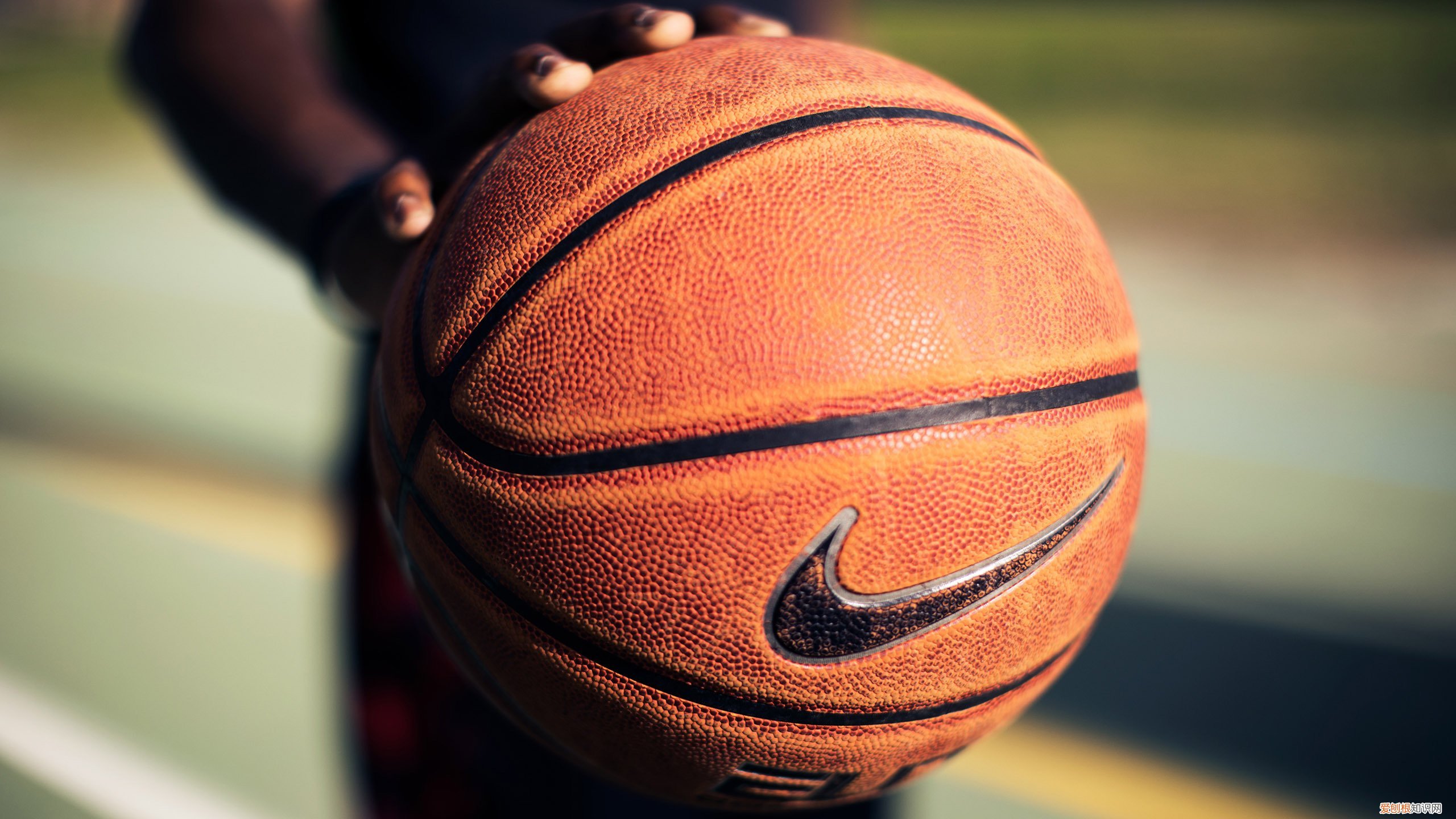 “花开天府 安逸四川” 成都到罗江