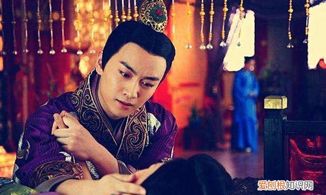 西汉的十二个皇帝，孝宣中兴还是昭宣中兴