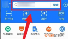 支付宝怎么揍好友小鸡视频，支付宝蚂蚁庄园怎么样揍别人小鸡