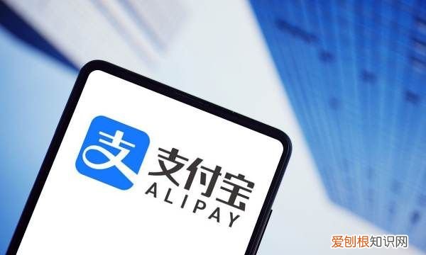 支付宝怎么揍好友小鸡视频，支付宝蚂蚁庄园怎么样揍别人小鸡