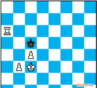 关于国际象棋和棋你知道多少