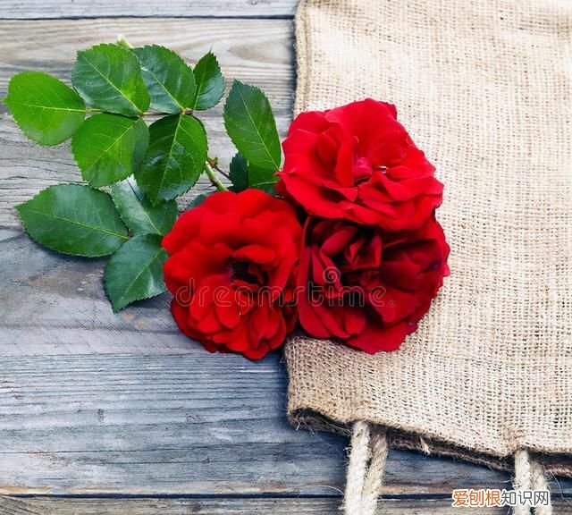 思念如影随形,相见如期而至什么意思