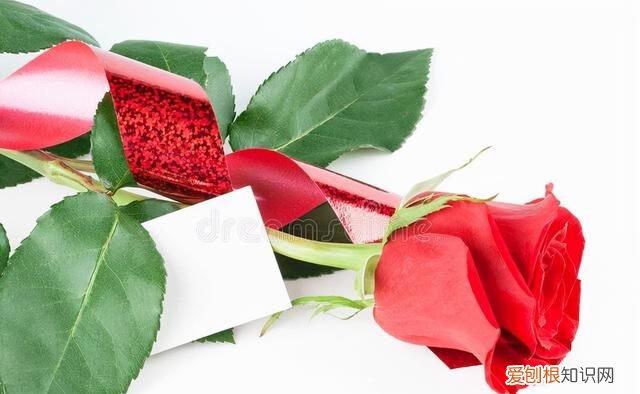 思念如影随形,相见如期而至什么意思