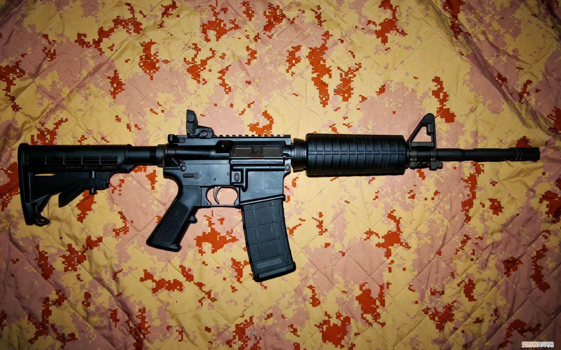 企业备案编号在哪里能看到