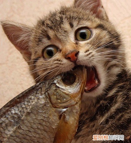 近十年口碑最好的十部韩剧 求好看的韩剧