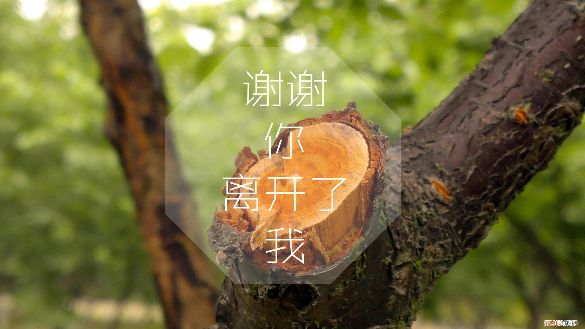 彻底清除电脑使用痕迹 清理使用痕迹