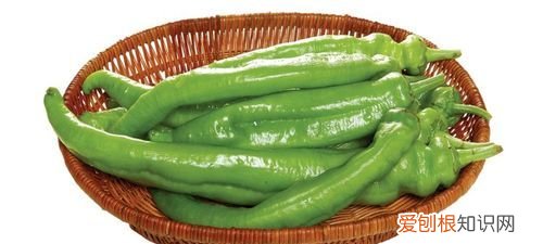 青椒的营养价值 青椒的营养价值介绍