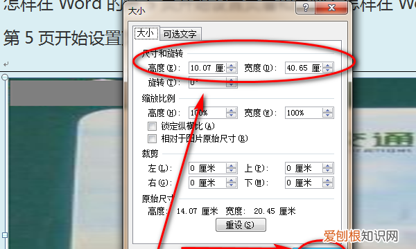 word文档怎么添加