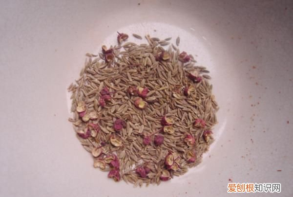 麻辣牛肉干的制作方法，麻辣牛肉干怎么做好吃不硬