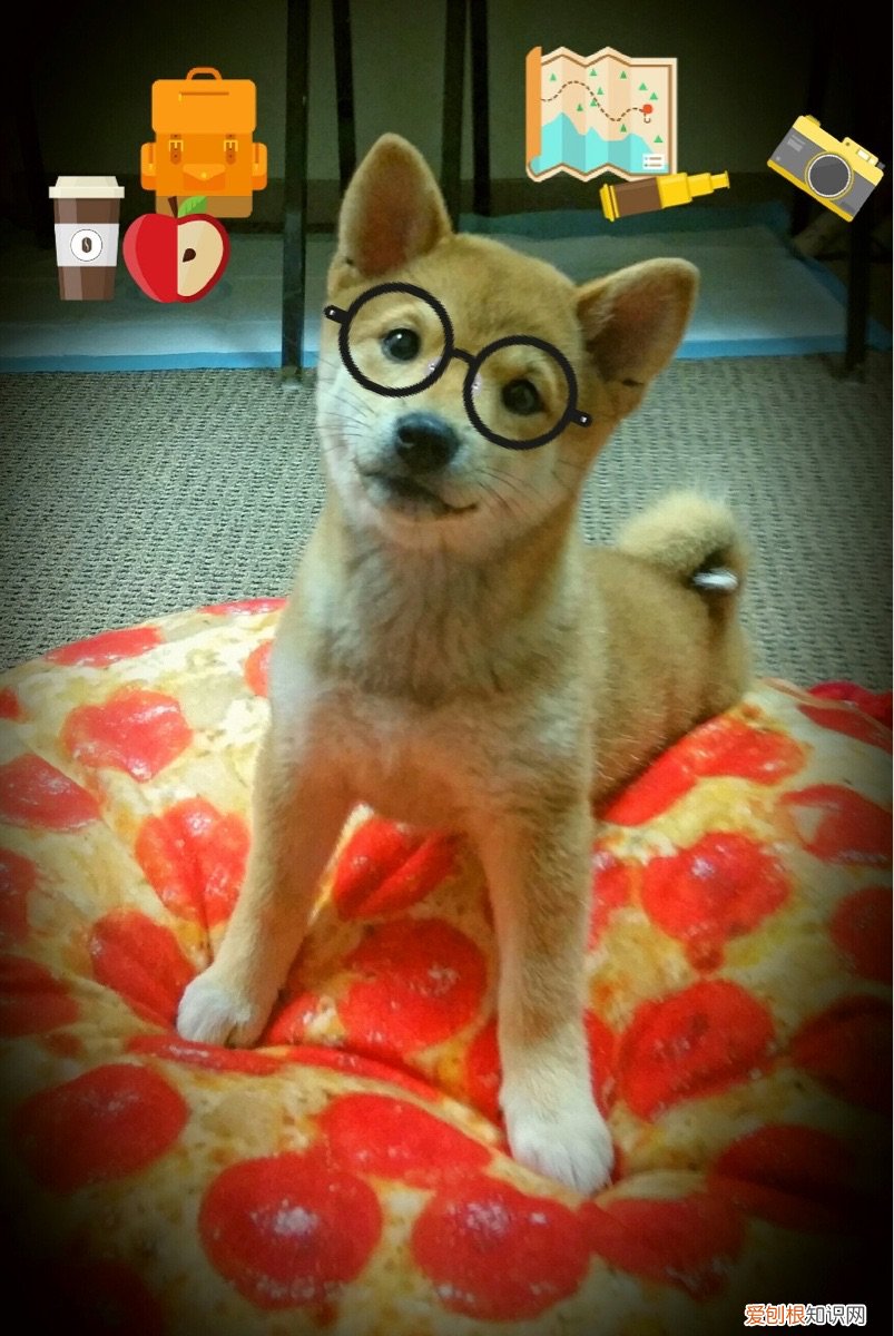 用牛奶洗脸这么多好处 牛奶洗脸好吗