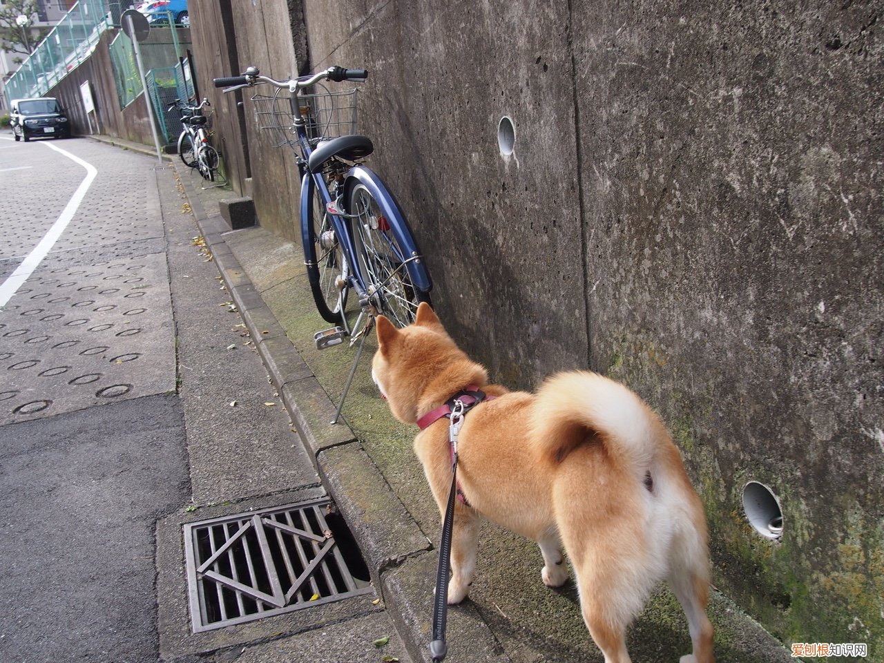 7万左右性价比高的车排行榜 7万左右的车排行榜