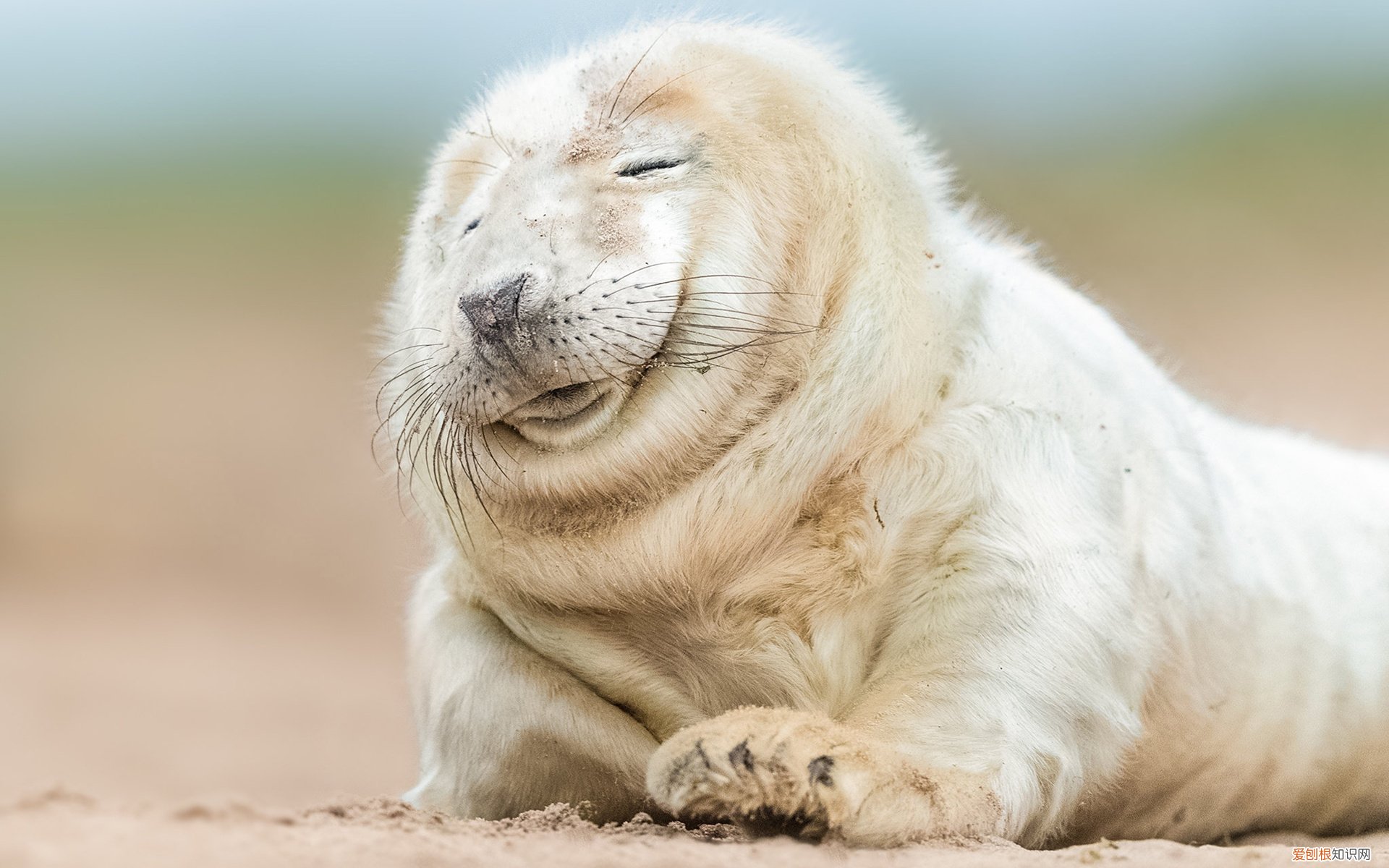 成都风水最好的墓地 成都国家认可的公墓有哪些