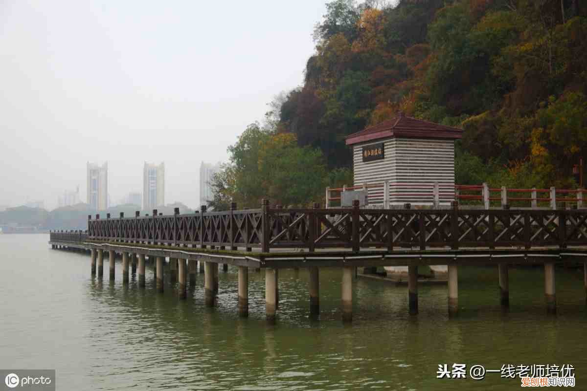 常用的几种修辞手法 修辞手法有哪些