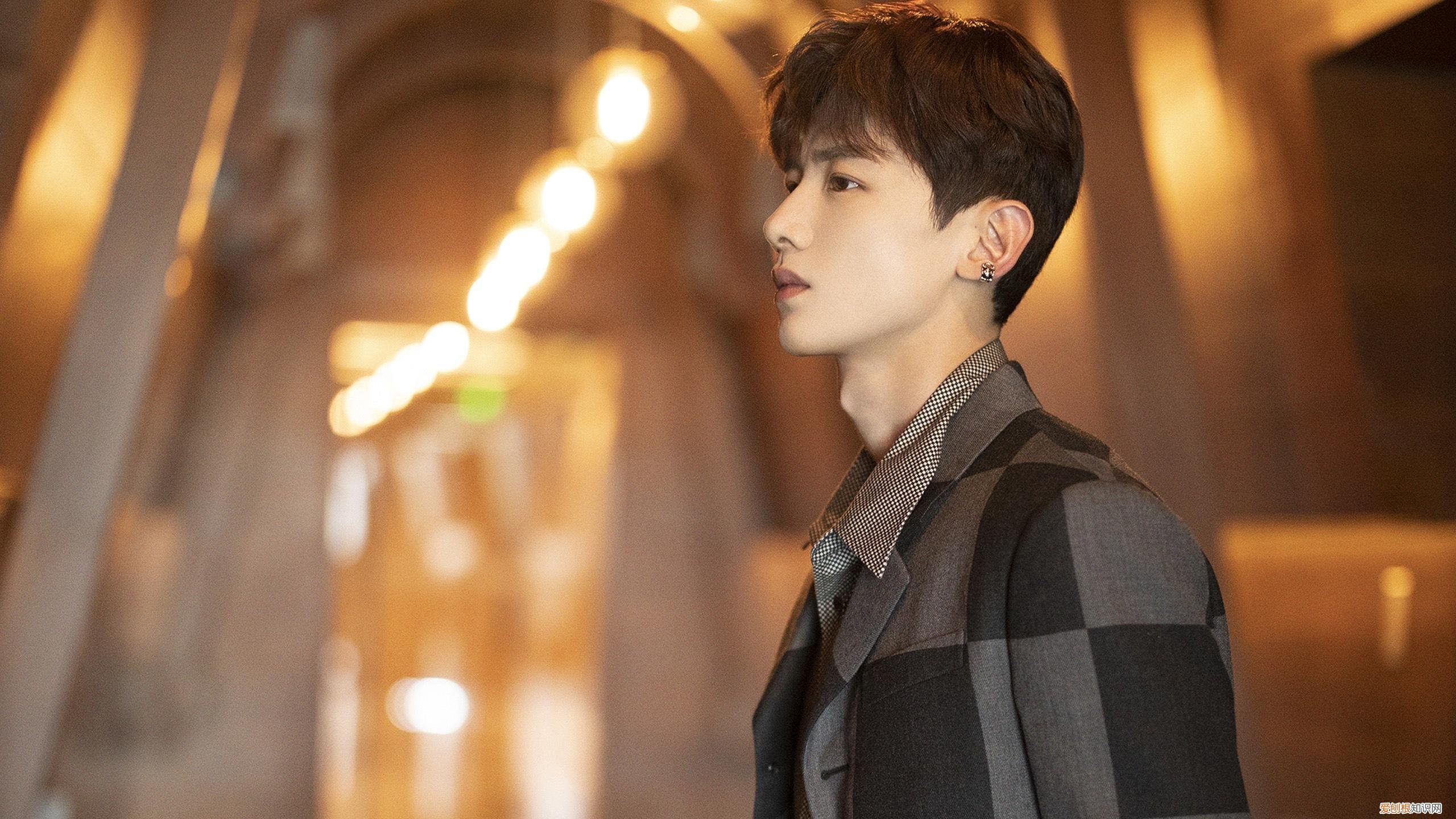 史上最大巨龟 最大的乌龟