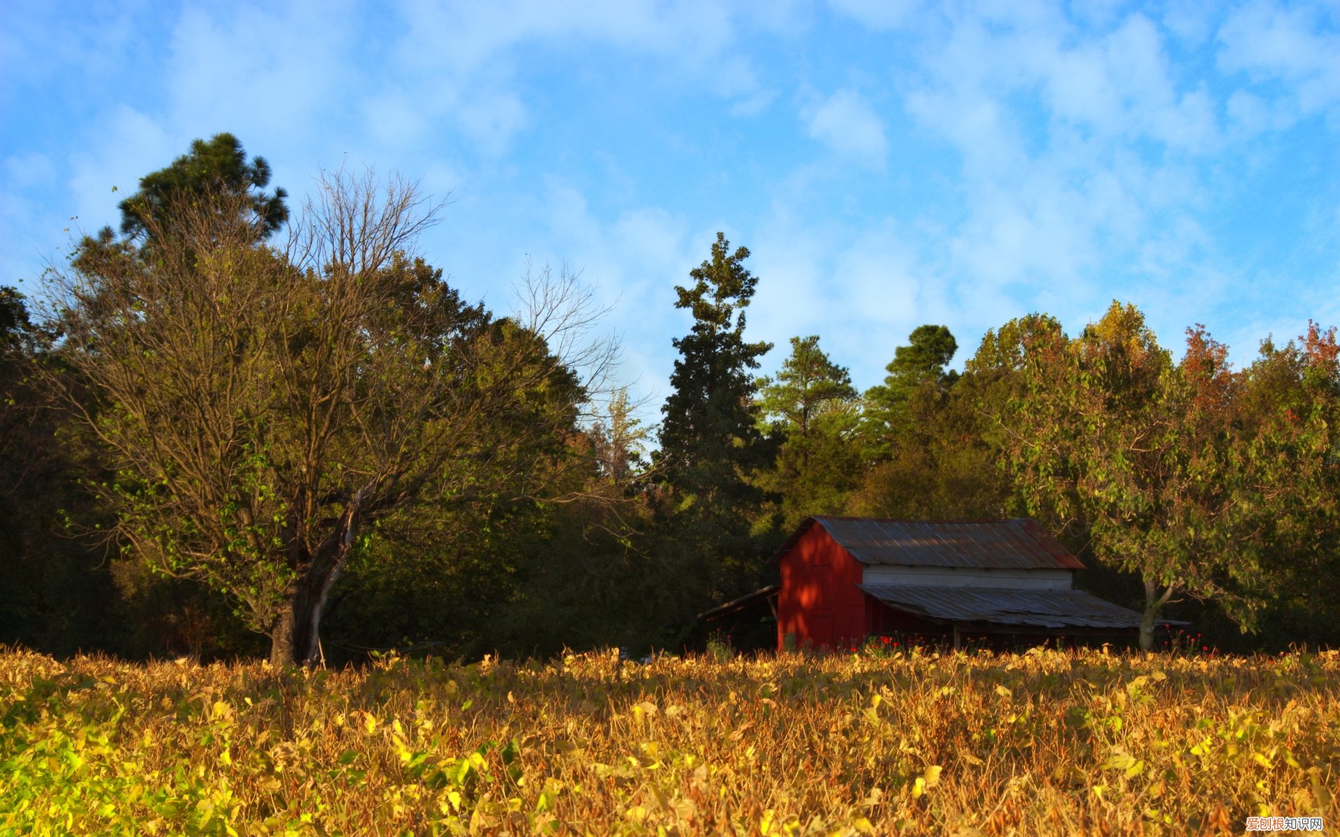 计算机等级证书分几级 哪个级别最高 计算机等级证书