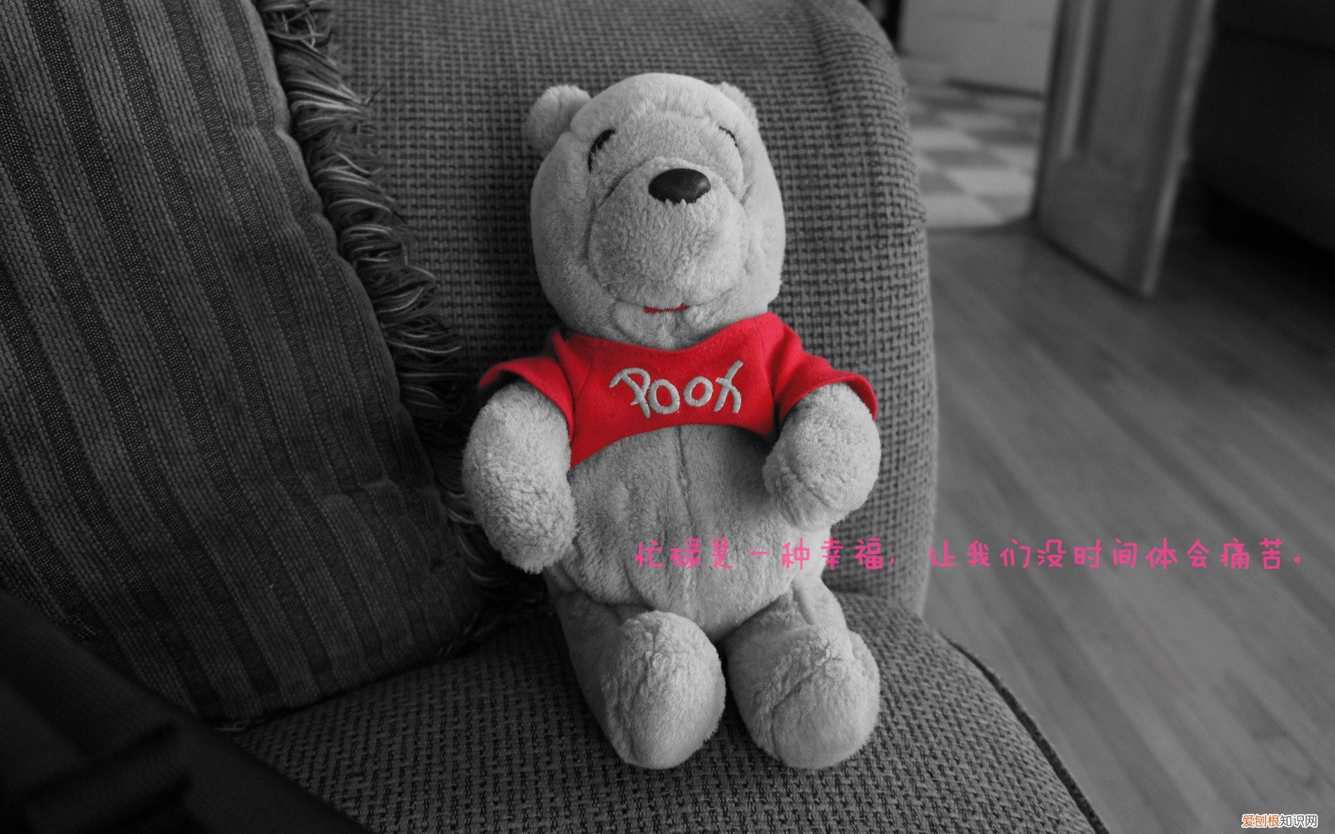 奥运会五福娃是哪一年出生的 「中国奥运会五个福娃」