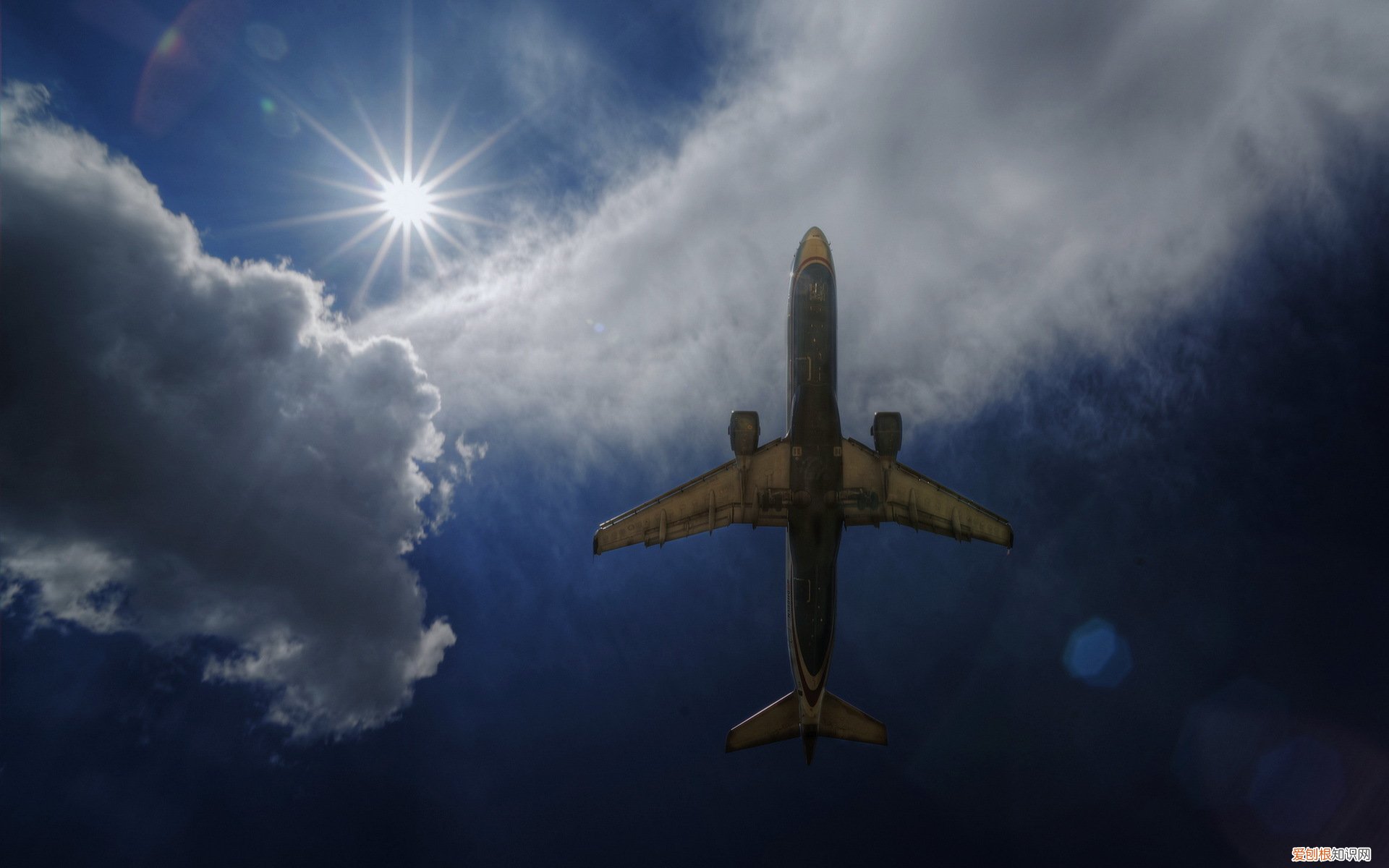 蒜香十足超美味的干拌面 干拌面的做法