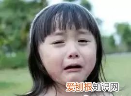 蟑螂最开始是怎么来到家里 蟑螂到底爱吃什么