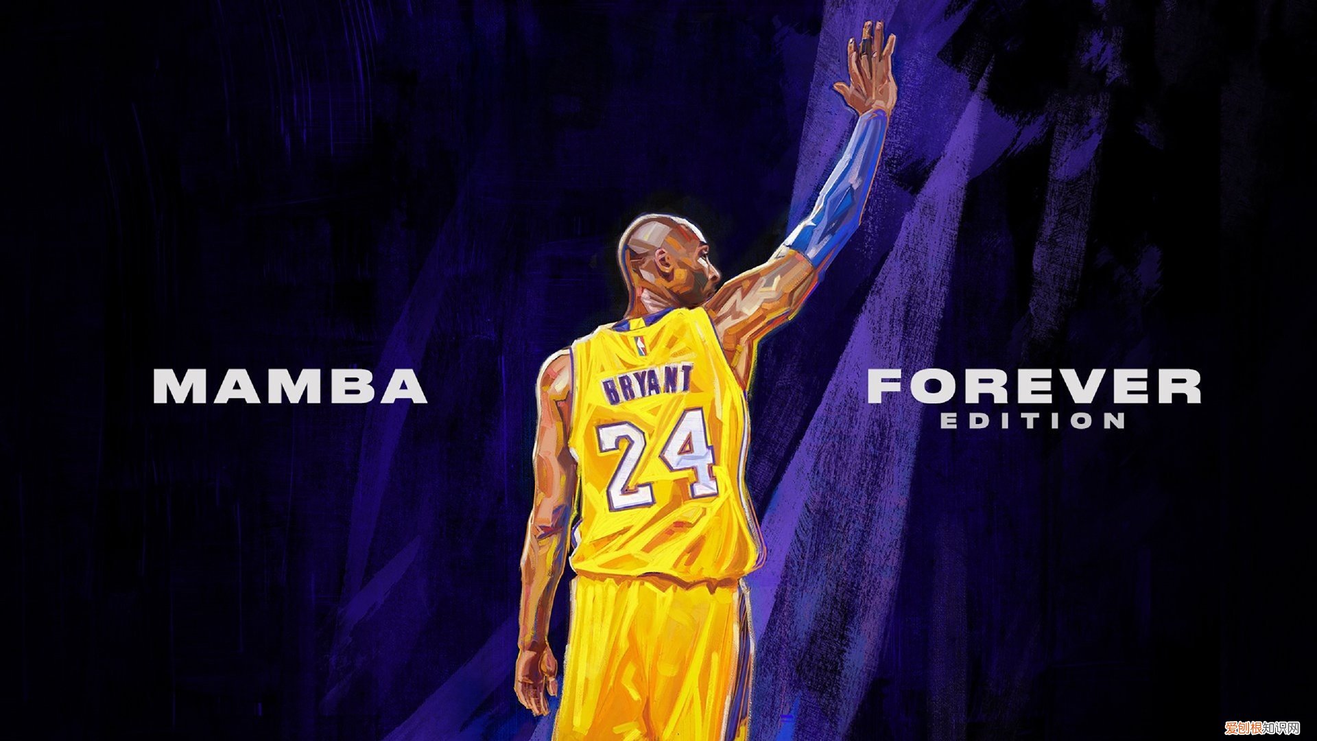 绣球花花语是什么 绣球花花语