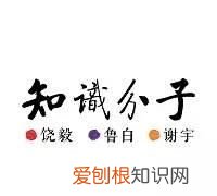 电报之父莫尔斯图片,塞缪尔·莫尔斯美国画家电报之父