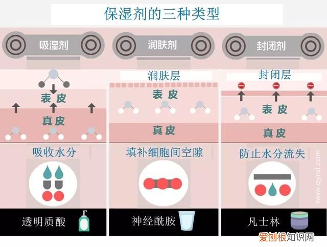 保湿霜剂 含有封闭剂的保湿霜