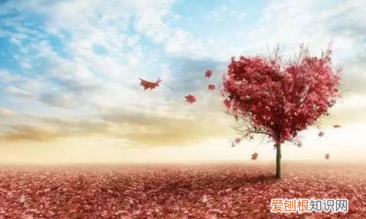 洗尽铅华下一句接什么，洗尽铅华后面一句是什么