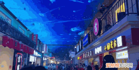 坐火车去贵阳的沿途风景