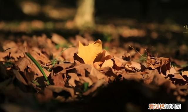 坐火车去贵阳的沿途风景
