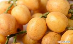 黄皮哪些人不宜食用,黄皮怎么吃营养最好