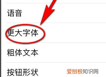 苹果手机字体大小怎么设置，苹果手机字体大小应该怎样才能设置