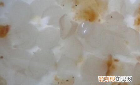 皂角米煮多长时间合适,皂角米要煮多久