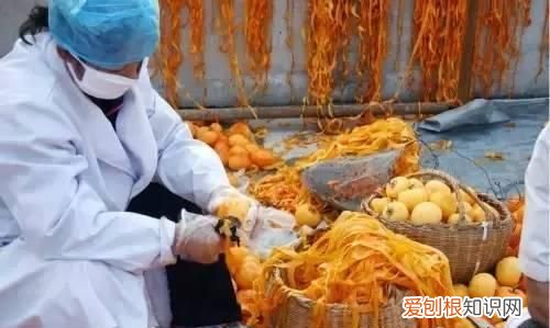 文“话”陇南︱天凉咧,撕一个泛红透亮、柿霜洁白的柿饼吃吧~~