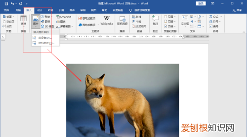 word应该怎样才能转换为pdf