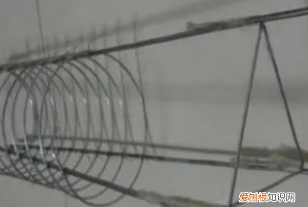 球兰花怎样搭架子好看，怎么在花盆里搭架子方便之物攀爬