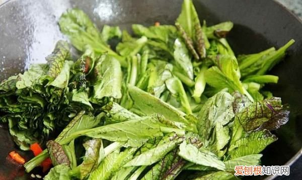 盖菜怎么做好吃，怎么做好吃的炒盖菜