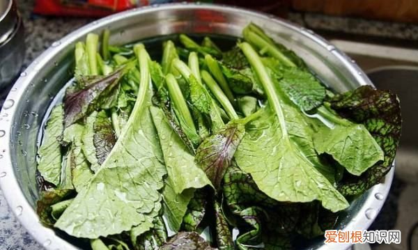 盖菜怎么做好吃，怎么做好吃的炒盖菜