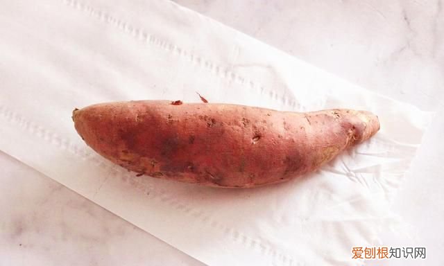 老农讲红薯的保存方法