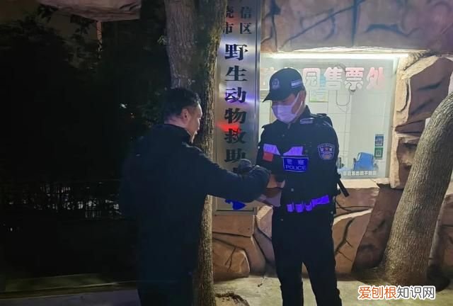 “警察叔叔，你们可以帮帮它吗。”暖心！小女孩在路边发现受伤的猫头鹰，上饶广信区警方及时救助
