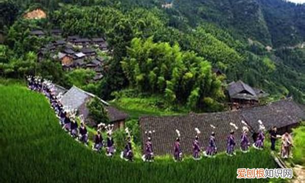 贵州鸟友俱乐部,鸟友之家贵州